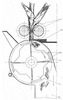 Corn Cob Harvester, Corn Stems Mincing - Cross Section
