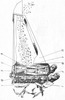 Corn Cob Harvester, Corn Stems Mincing - Axial Section