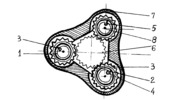 Cross section through a head wound