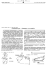 thumbnail of2906009