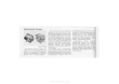 thumbnail of16206009