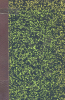 thumbnail of10620009