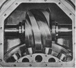 step - by- step motion gear