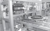 Overview of carnations insertion system