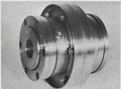 GlobeFlex tooth coupling (Renk)