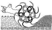 Tool of a motorized rotary cultivator