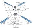 Architecture of a 4 DOF parallel manipulator moving Schönflies