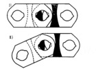 Rocker joints in sectional representation