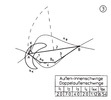 External- internal lever/ double external lever