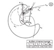 External- internal lever with one nodal point 22