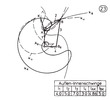 External- internal lever with one nodal point 23