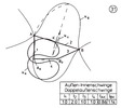 External- internal lever