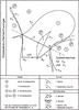Division of the coupling level of a double external lever by the moving detrode and the transition curve