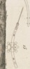 machines d'agriculture pl.11 fig.15