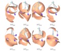 3-RSS parallel manipulator. Direct singularities associated with working modes