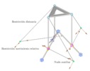 3-RPS parallel manipulator model.