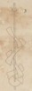 Pl.2 fig.3