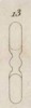 Pl.6 fig.13