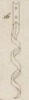 Pl.6 fig.16