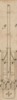 Pl.7 fig.9