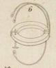 Pl.11 fig.6