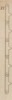 Pl.8 fig.12