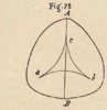 Fig.75