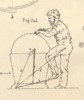 Fig.244
