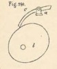 Fig.291
