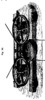 Clamping device between winch wagon and work surface, figure 84
