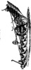Fowler's Balaneirplow. figure 91