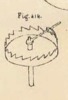 Fig.414