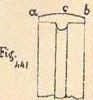 Fig.441