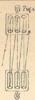 Fig.491