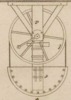 Pl. 23 fig. 4