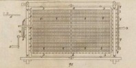Pl. 23 fig. 14