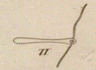 Pl. 23 fig. 11