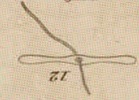 Pl. 23 fig. 12