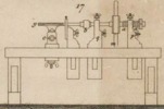 Pl. 26 fig. 17