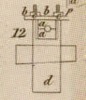 Pl. 26 fig. 12