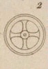 Pl. 26 fig. 2