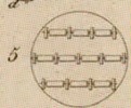 Pl. 25 fig. 5