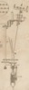 Pl. 25 fig. 4