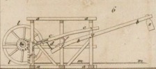 Pl. 24 fig. 6