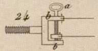 Pl. 26 fig. 24