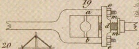 Pl. 26 fig. 29