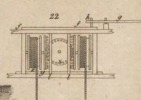 Pl. 26 fig. 22