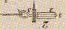 Pl. 23 fig. 2