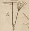 Pl. 23 fig. 19