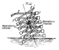 LEVER-TYPE PENDULUM PUMP FOR WATER